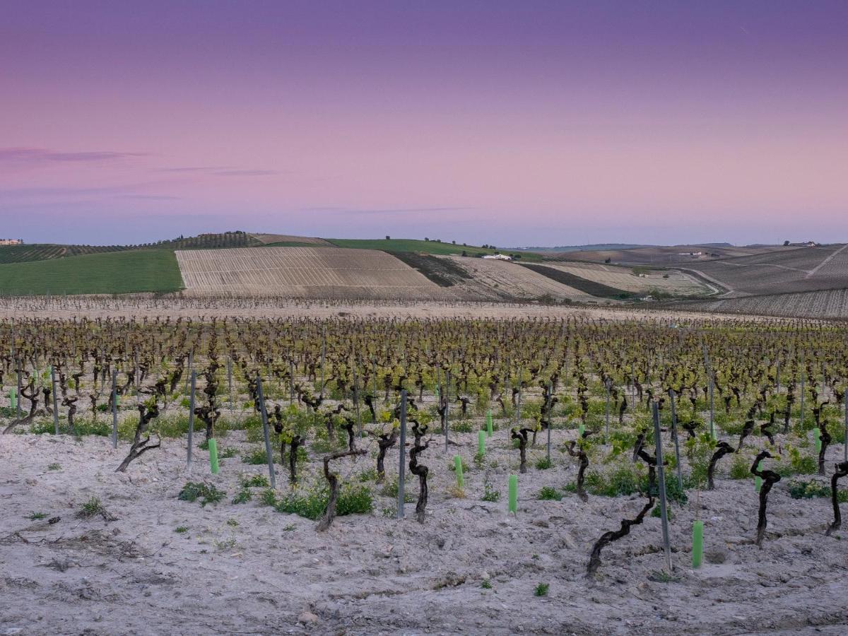 La Ermita Fjhomefj Jerez de la Frontera Extérieur photo